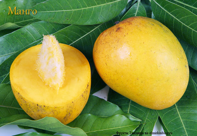Косточка манго, желтое манго
